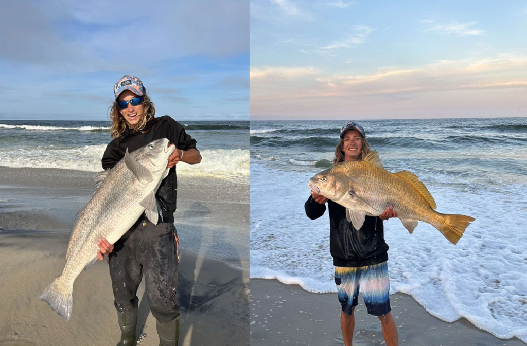 Jon Kelly got into an awesome day fishing on the LBI surf on May 20th. He reported a stellar day catching 12 black drum, two striped bass and a bluefish.